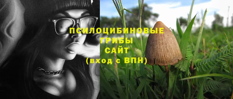 купить закладку  Югорск  ОМГ ОМГ tor  Псилоцибиновые грибы Psilocybine cubensis 